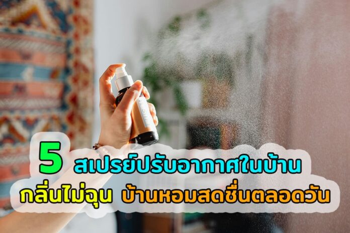 สเปรย์ปรับอากาศในบ้านยี่ห้อไหนดี